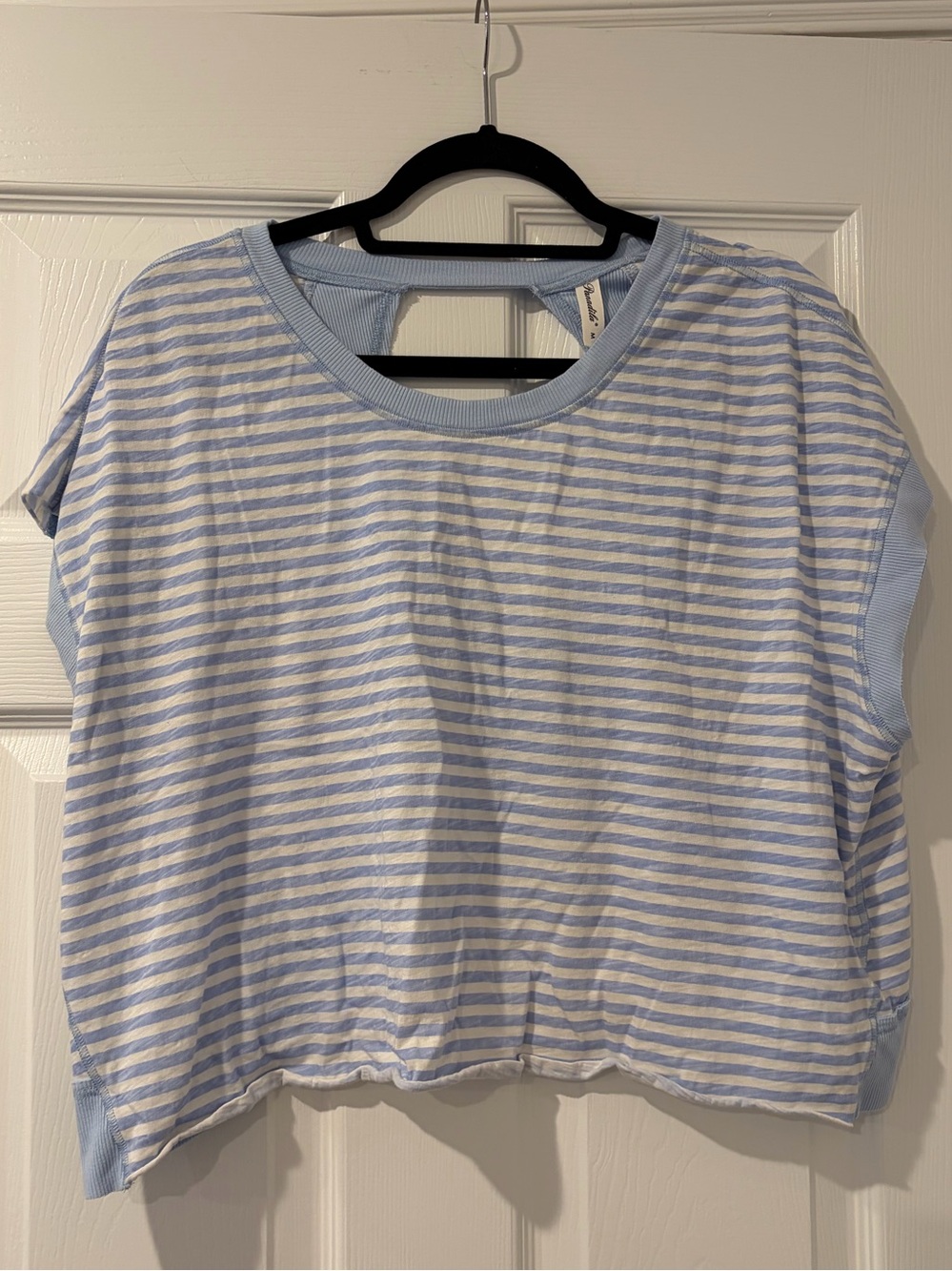 Striped Crop Tee in Light Blue and White
